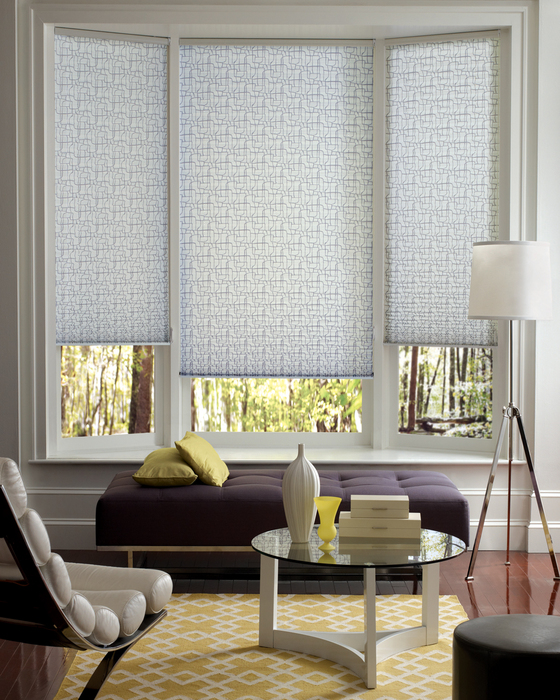 Centurian Window Fashions Shades